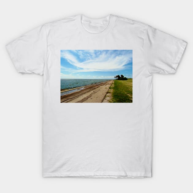 Florida Rest Area T-Shirt by Cynthia48